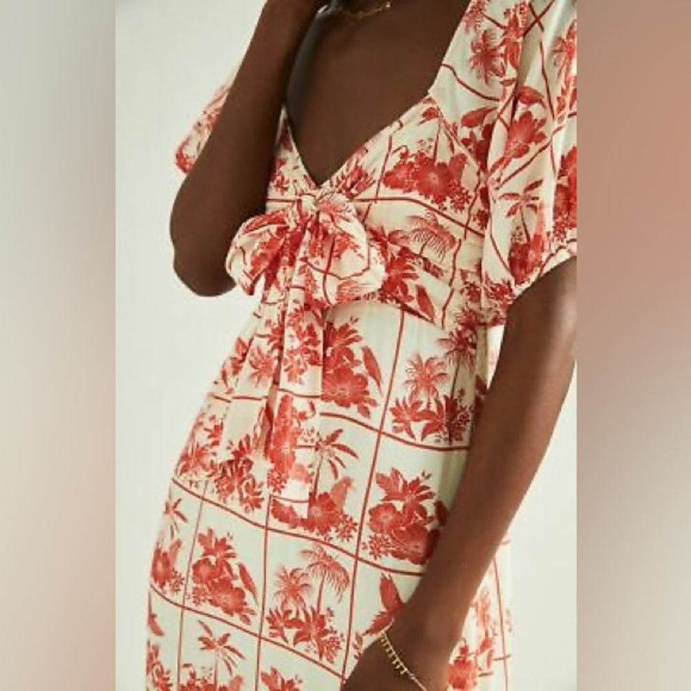 Anthropologie Farm Rio Odessa maxi dress